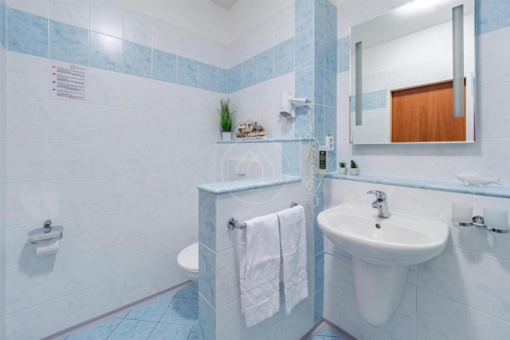 Apartman C409 V Arealu Wellness Hotelu Frymburk Εξωτερικό φωτογραφία